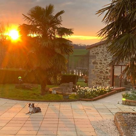 La Basse Monniere Bed & Breakfast Sevremont Bagian luar foto