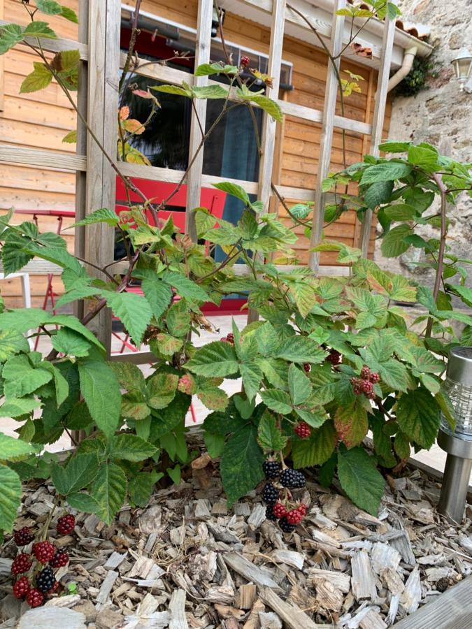 La Basse Monniere Bed & Breakfast Sevremont Bagian luar foto