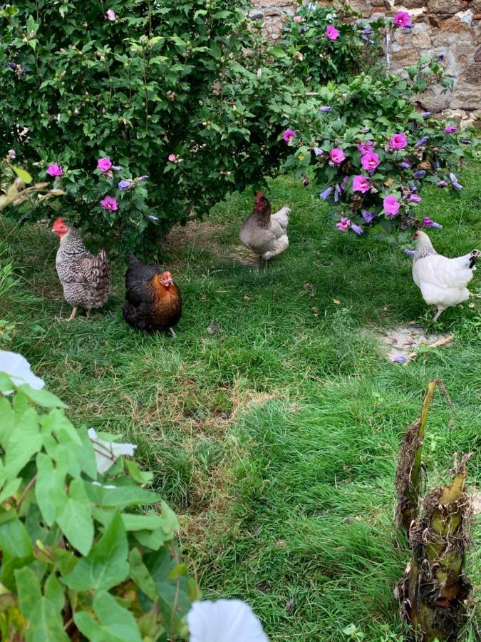 La Basse Monniere Bed & Breakfast Sevremont Bagian luar foto