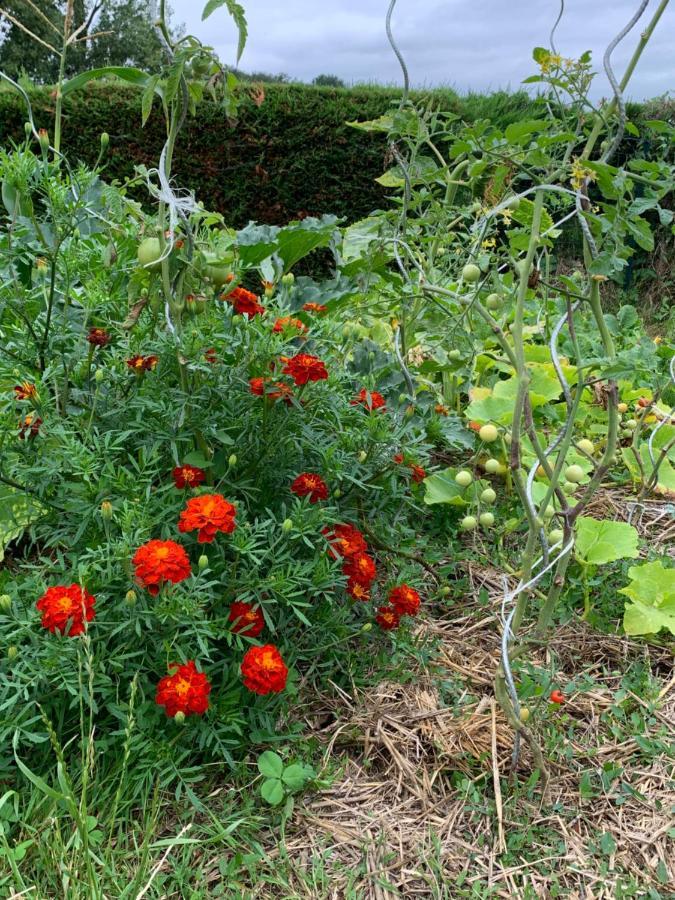 La Basse Monniere Bed & Breakfast Sevremont Bagian luar foto